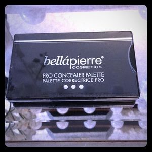 Bellapierre pro concealer palette.